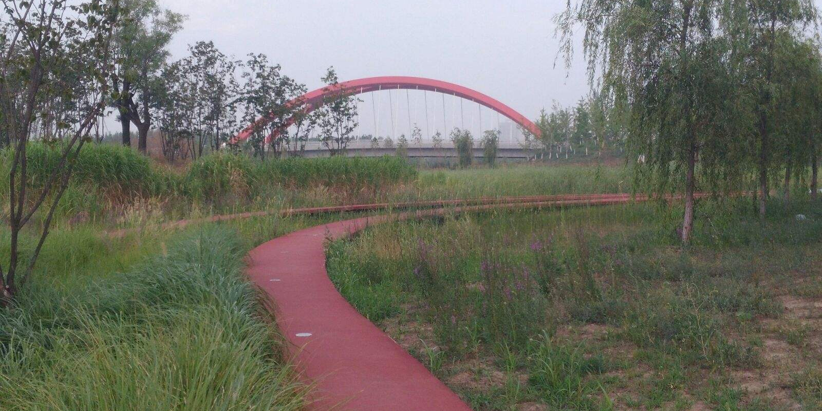 沣西公园