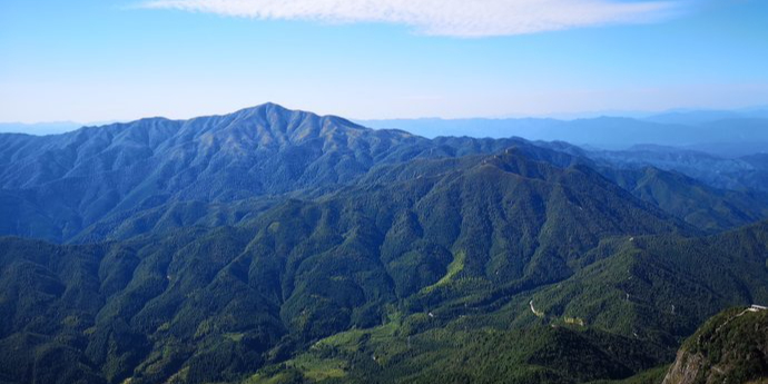 广东省连山林场巾子村