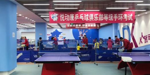 悦动康乒乓球俱乐部(常营校区)
