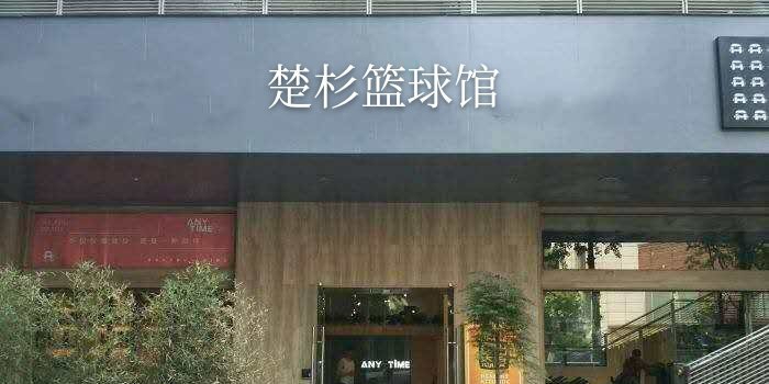 楚杉篮篮球