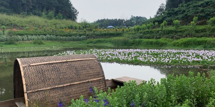 龙头山花湖田源景区