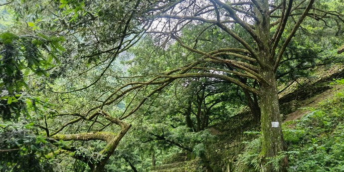 浙江省绍兴市柯桥区稽东镇占岙村