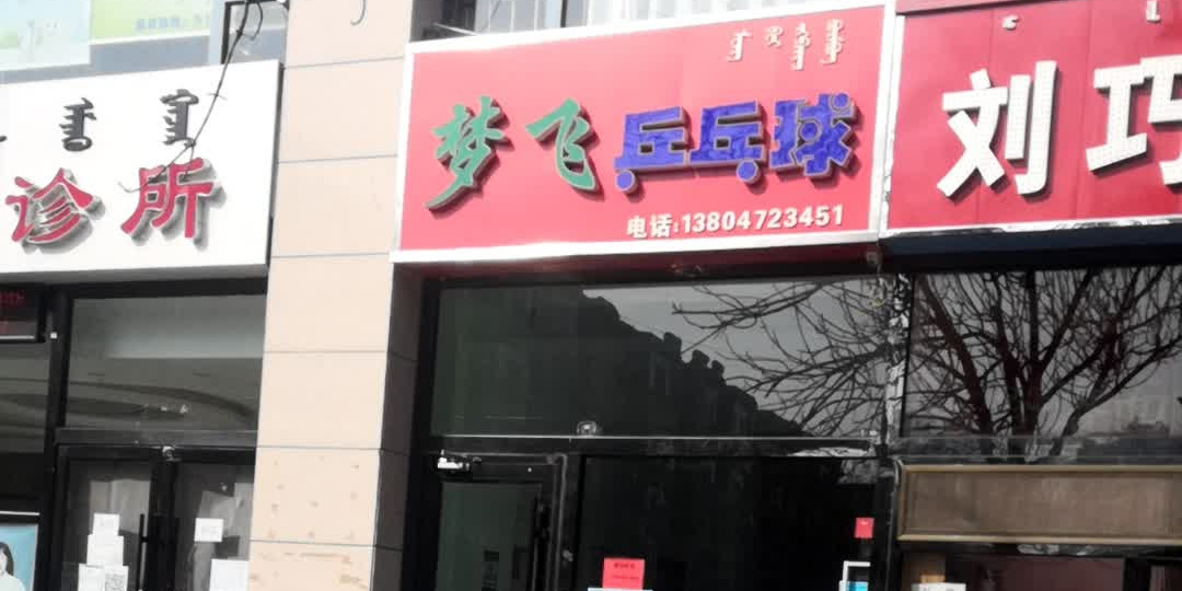 梦飞乒乓球训练基地