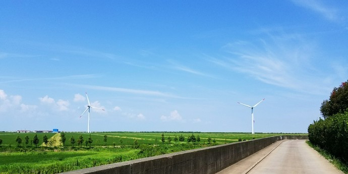 长兴岛横沙岛湿地图片