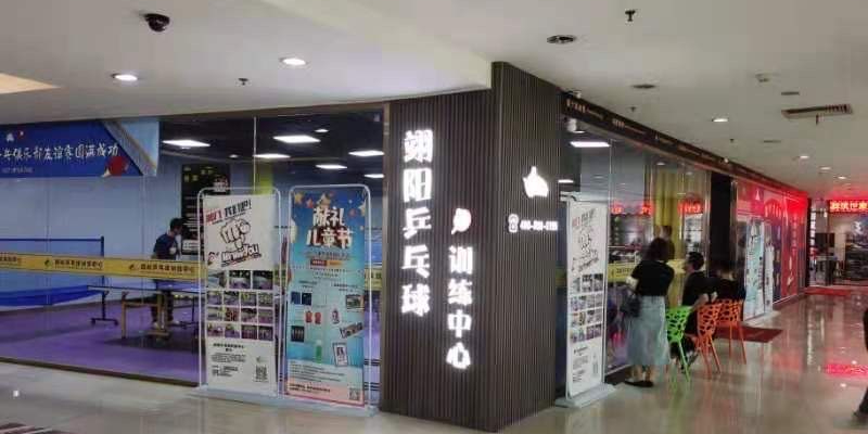 翊阳乒乓球训练中学(新世界百货店)