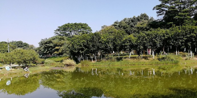 东莞植物园