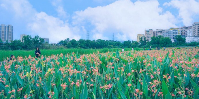 广东省深圳市龙华区福城街道茜坑社区竹村老围路(竹村东区东侧)