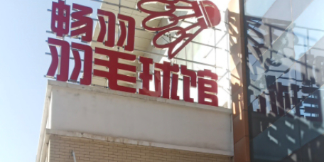 畅羽羽毛篮球