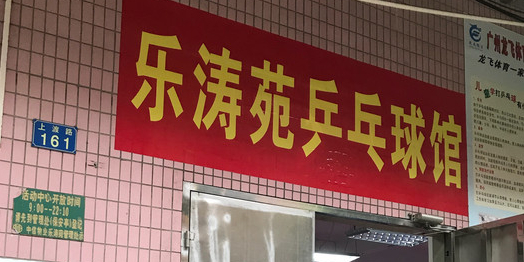 飞龙村国球乒乓连锁(乐涛店)