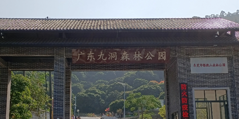 广东九洞森林公园