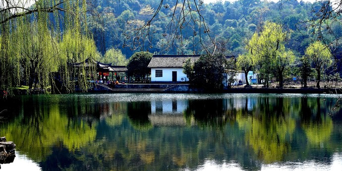 东湖生态旅油风景区-梨园