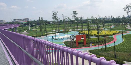 悦动彩林公园