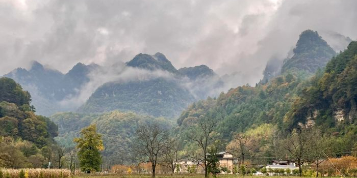 宁强县草川子风经区