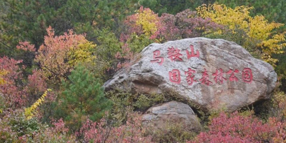 马鞍山国家森林公园锦区