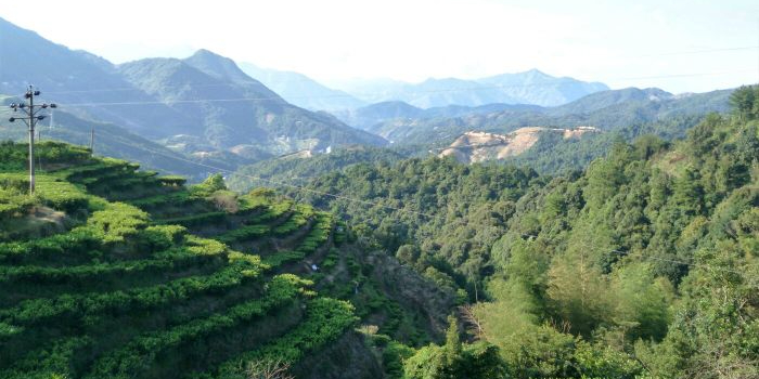 广东省潮州市潮安区大山镇叫水坑村