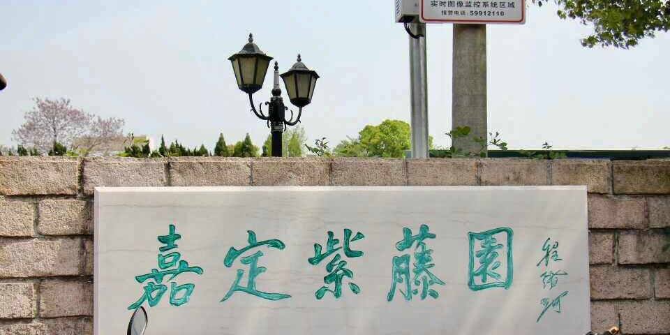 嘉定紫藤园