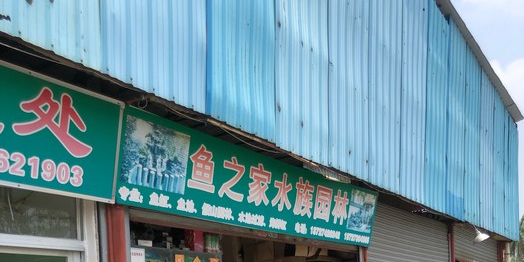 鱼之家水族(文华路西区店)