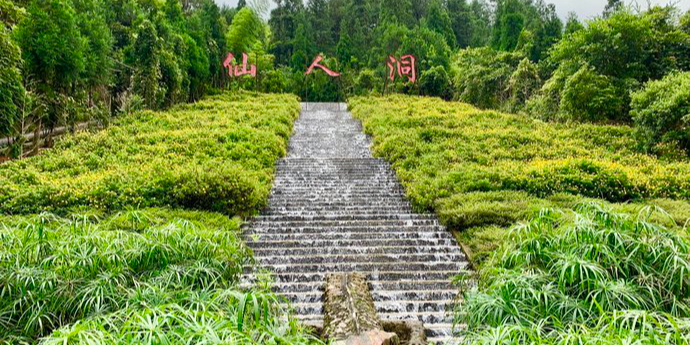 广东省茂名市高州市深镇镇仙人洞村