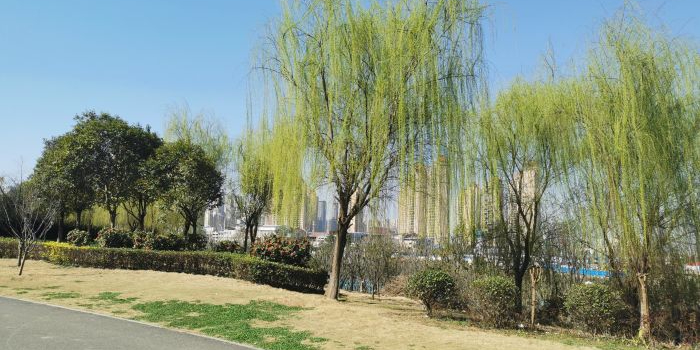 后湖运动公园