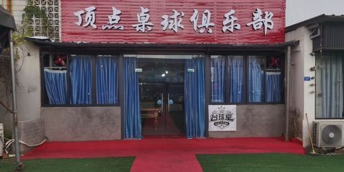 顶点桌球俱乐部