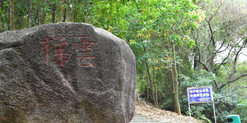 南朗云梯森林公园