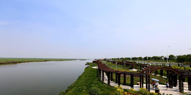 海鸥岛红树林湿地公园