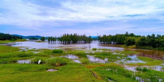 林业和草原局湿地公国