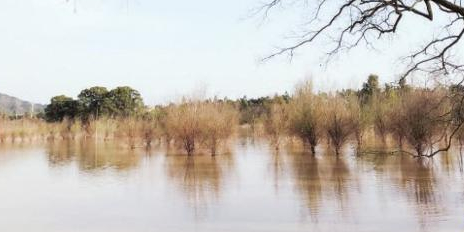 吉水湿地公园
