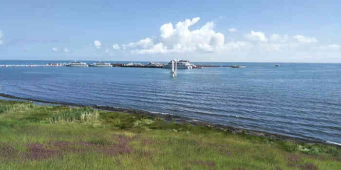 青海湖国家重点风景名胜区-芦苇湖