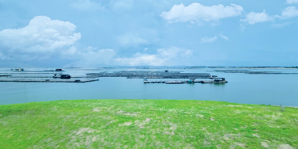 东盟生态园