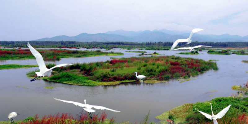 汶河国家e湿地公园