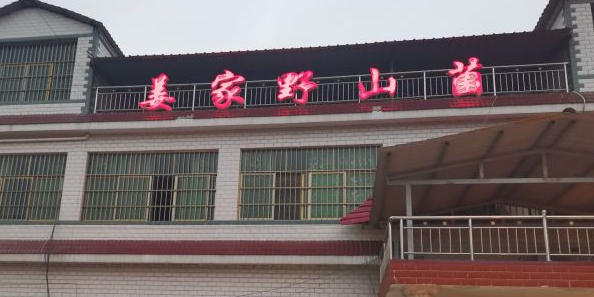 野山菌