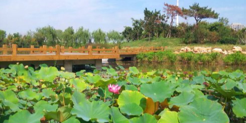 翠屏公园