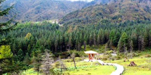 四川雅安神木垒景区汽车露营地