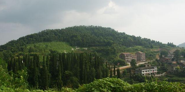 洪水岭森林公园