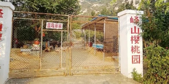 邹城市峄山红樱桃园