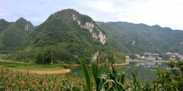 广西壮族自治区河池市大化瑶族自治县X929