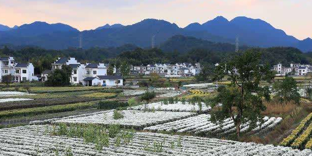 盐水景区