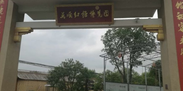 万顺红糖博览园