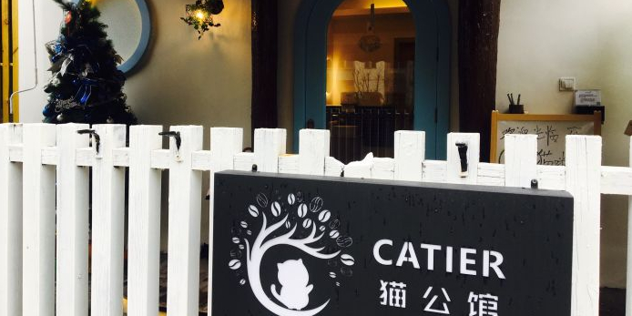catier猫公馆猫咪咖啡大学路店