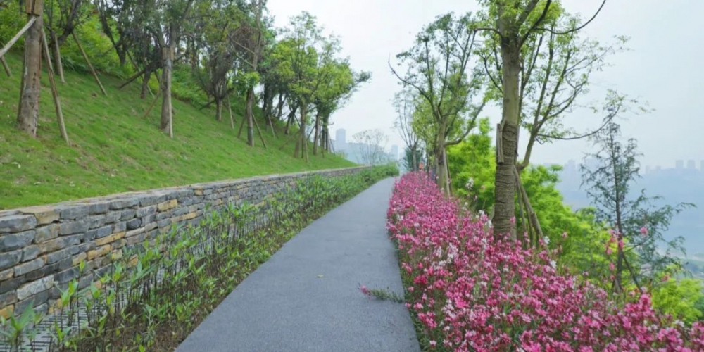 九龙公园样板登山步道