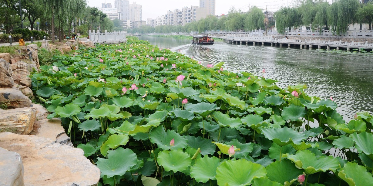 莲花湾游园