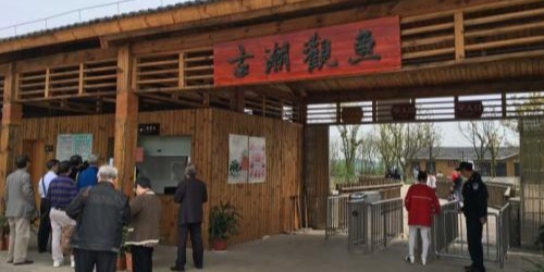 古潮观鱼
