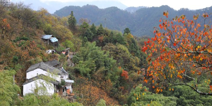 安徽省黄山市歙县