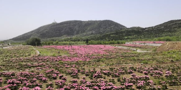 北京市房山区长沟镇三座庵村村南