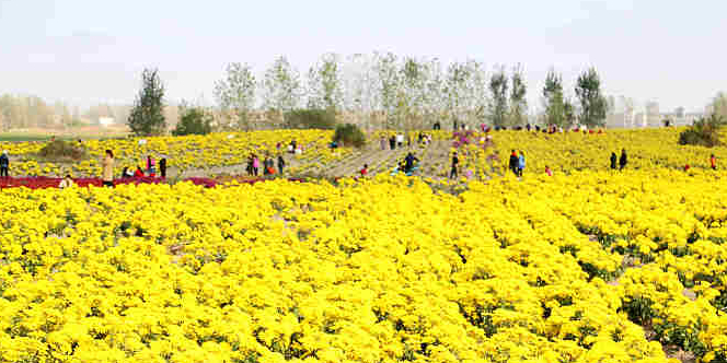 望江圩上花园