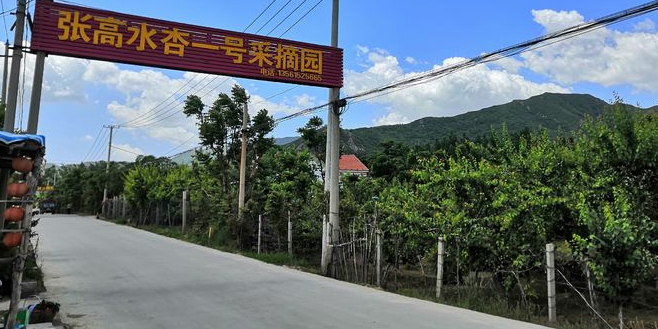 山东省滨州市邹平市黛溪街道张高村