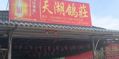 天湖鸽庄