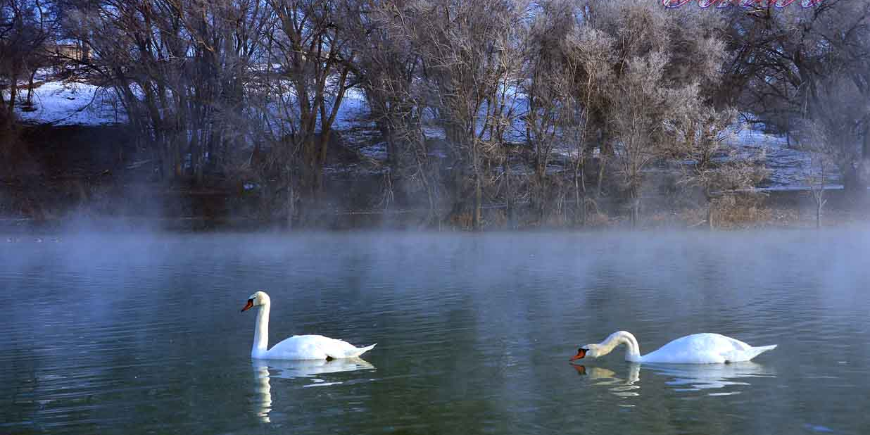 天鹅湖水砦