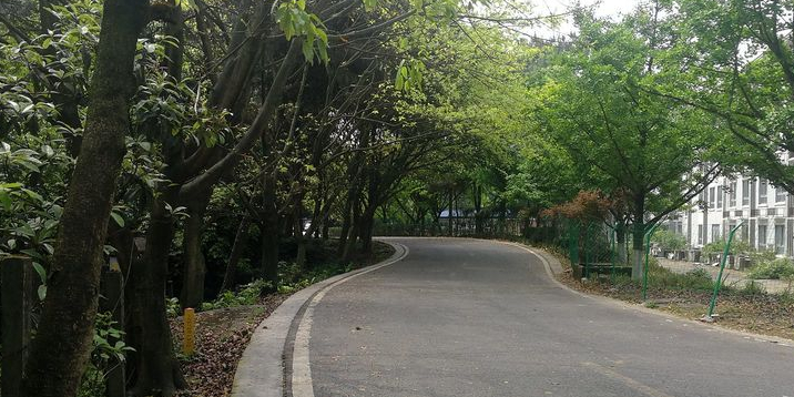 峡江步道